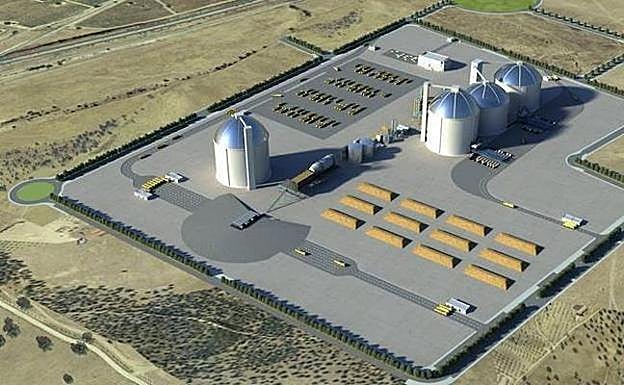 La Junta firma hoy con Ibérica Sugar el protocolo para construir la azucarera