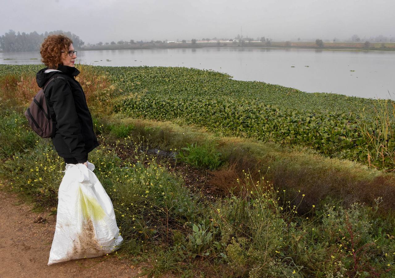 La Consejería de Media Ambiente organizó ayer una jornada con 200 voluntarios que limpiaron las orillas del río a su paso por Badajoz. Los participantes en esta acción se encontraron botellas de alcohol y envases de plástico bajo el puente Real. Los recogieron y dejaron la zona completamente despejada.
