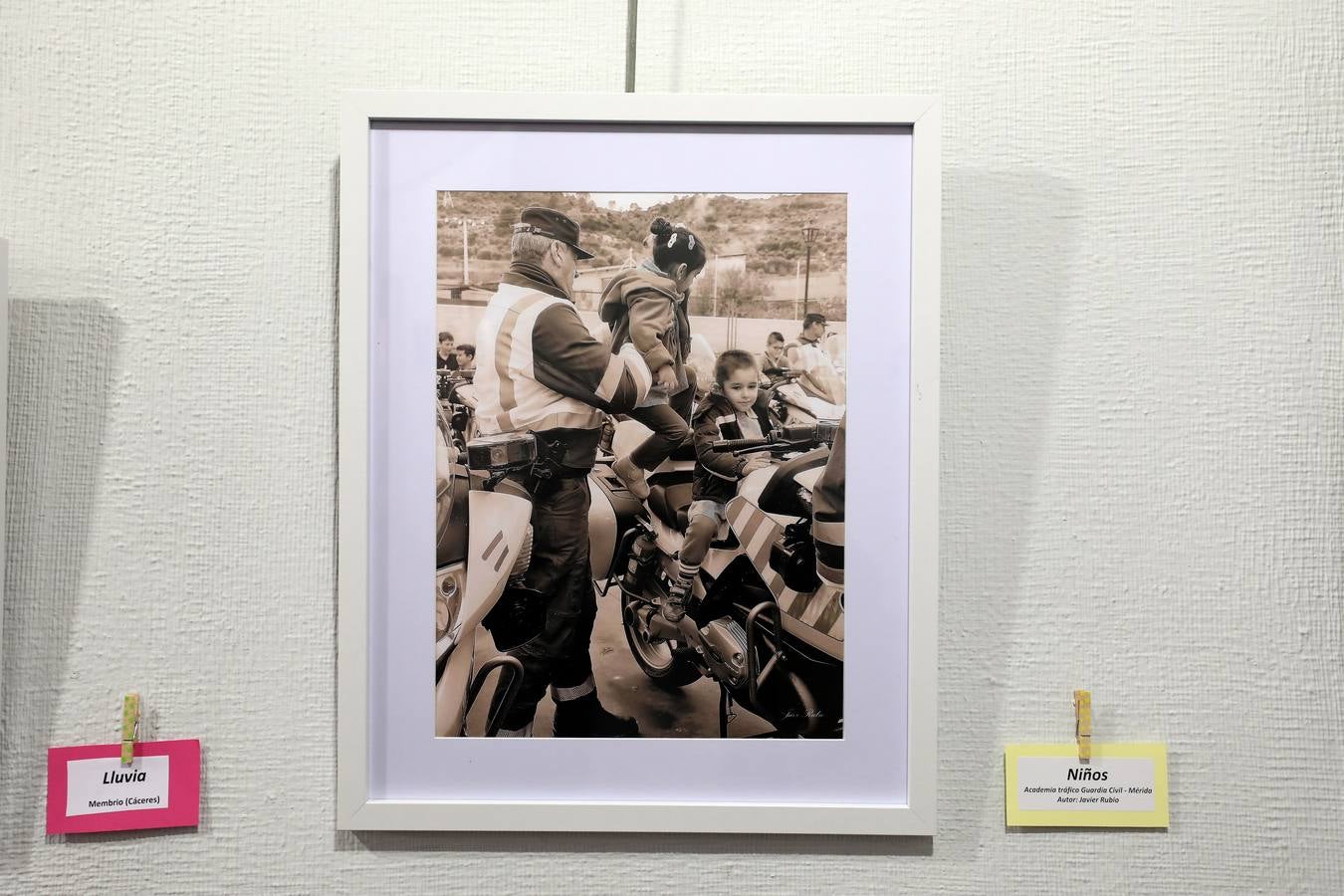 El Centro Cultural 'Santo Domingo' de la Fundación CB en Mérida alberga desde el lunes, 3 de diciembre, la exposición 'La sonrisa de los colores', de Javier Rodríguez Rubio. La muestra, que se puede visitar hasta el próximo día 30, se desarrolla a favor de la Asociación Española Contra el Cáncer (AECC). El horario de la exposición es de lunes a sábado, en horario de 10:00 a 13:30 horas y de 18:00 a 21:00 horas. Mientras, los domingos permanecerá abierta de 10:00 a 13:30 horas.