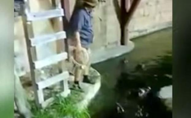 ¡Al agua con los caimanes!