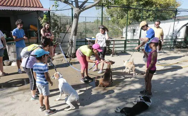 Asociación Protectora de Animales y Plantas El Refugio de Plasencia