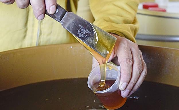 Miel extremeña:. HOY