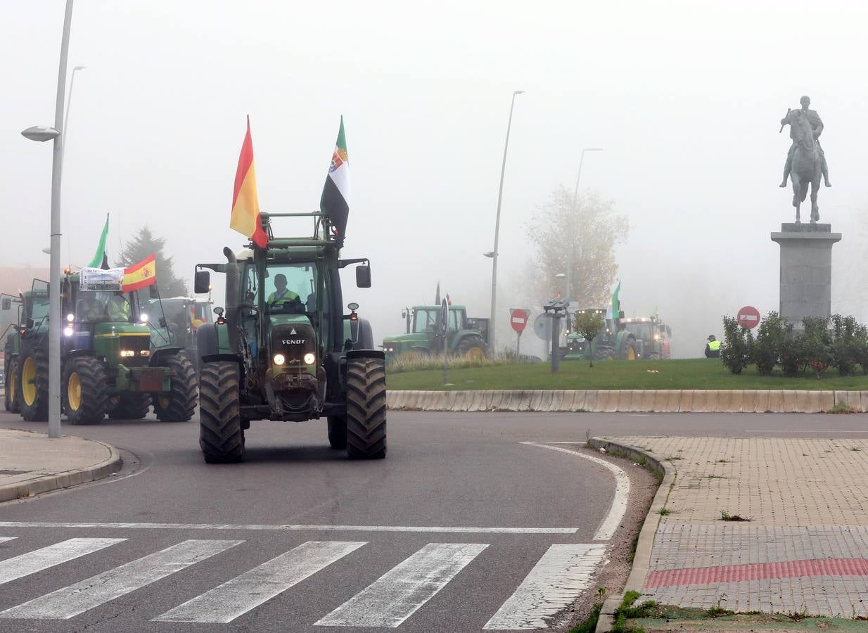 La caravana, procedente de las vegas Altas, ha pedido reunión urgente con la consejera García Bernal.