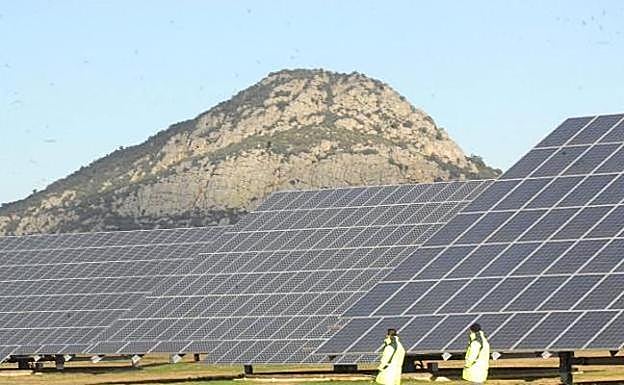 La fotovoltaica de Usagre inicia los movimientos de tierra previos para empezar las obras