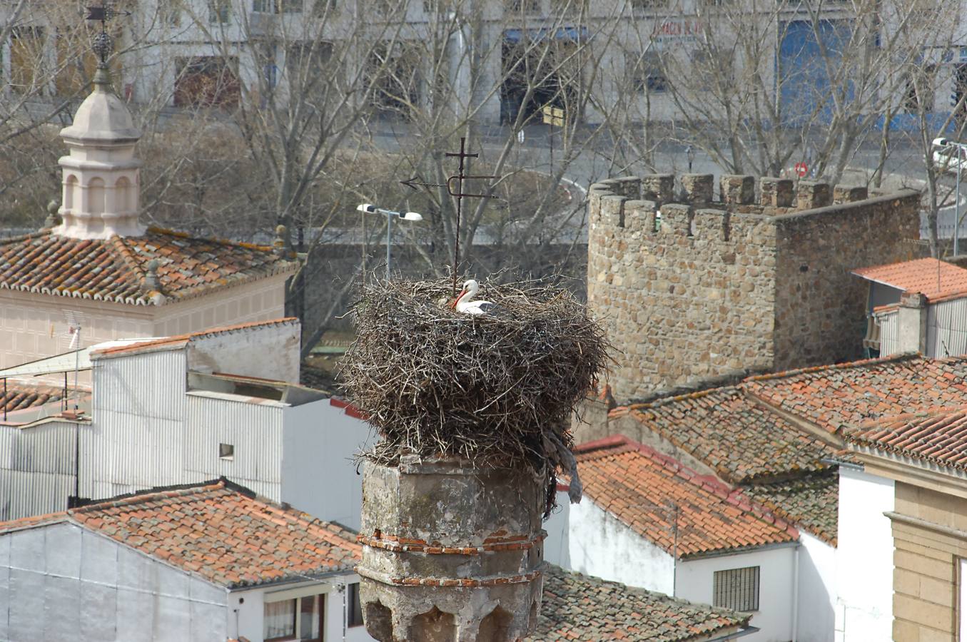 A Plasencia se la considera la capital del norte de Extremadura. Es un destino turístico destacable por su historia y monumentos. Su situación geográfica es ideal para conocer las comarcas del norte.