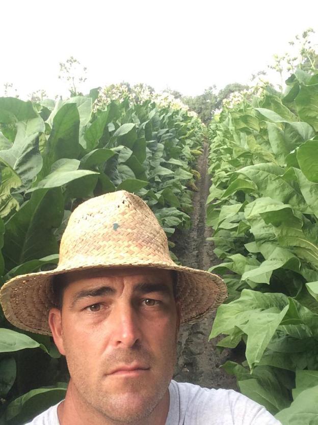 Alfonso Paz Simón en su plantación de Rosalejo. :: A.P.S.