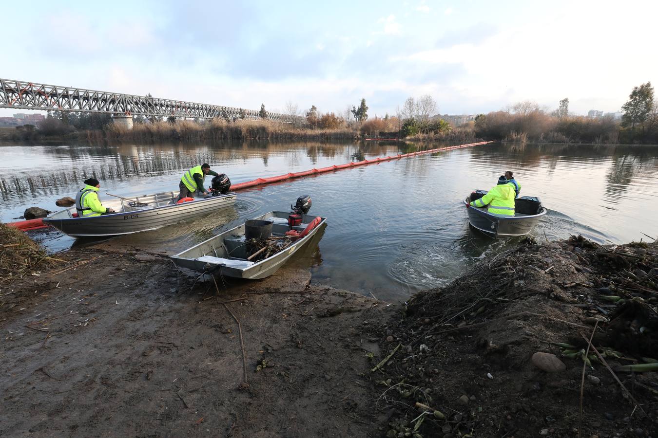 El vaciado de la presa de Montijo facilita la retirada de 2 millones de kilos de camalote al día