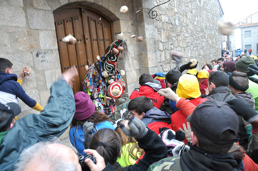 Fotos: Lluvia de nabos en Piornal para recibir al Jarramplas