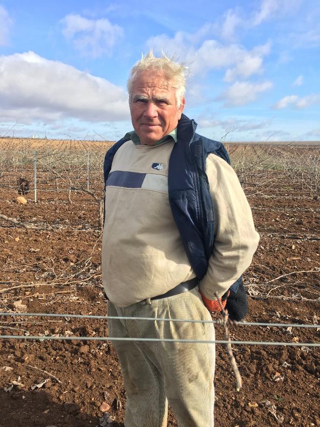 Ángel Fernández está en estos días con la poda de la viña. :: g. c.