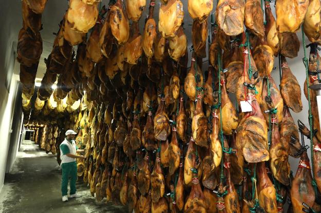 Jamones y paletas en las bodegas de Montesano Extremadura, en Jerez, la única empresa radicada en la región autorizada para vender porcino a China. :: BRÍGIDO FERNÁNDEZ 