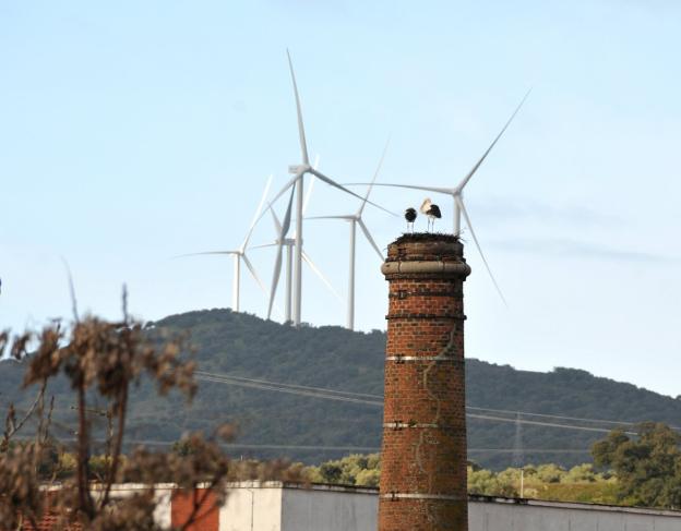 Los molinos de la sierra del Merengue que han cambiado la imagen de Plasencia. :: d. palma