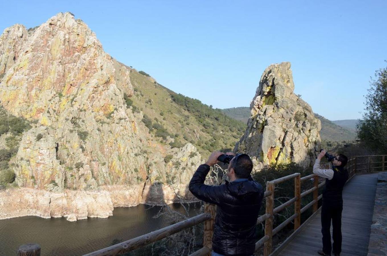 Fotos: Imágenes de la inauguración de la Feria Internacional de Ornitología