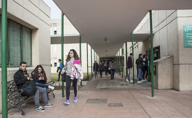 Alumnos universitarios saliendo de la facultad de Educación en el campus de Badajoz. :: 