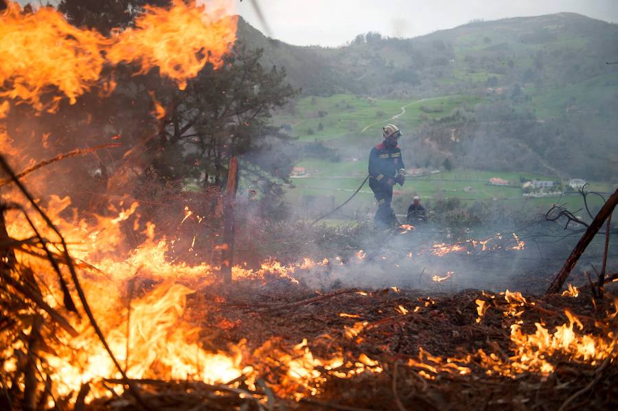 El norte de España se ha visto asolado este fin de semana con más de un centenar de incendios que han afectado duramente a Asturias, Cantabria y Vizcaya. Algunos de ellos ya están controlado, pero, en el Principado, 99 de ellos aún continuan en activos; mientras que en Cantabria el número de incendios activos se ha rebajado de 21 a 17, de un total de más de 60 que fueron provocados en la comunidad autónoma.