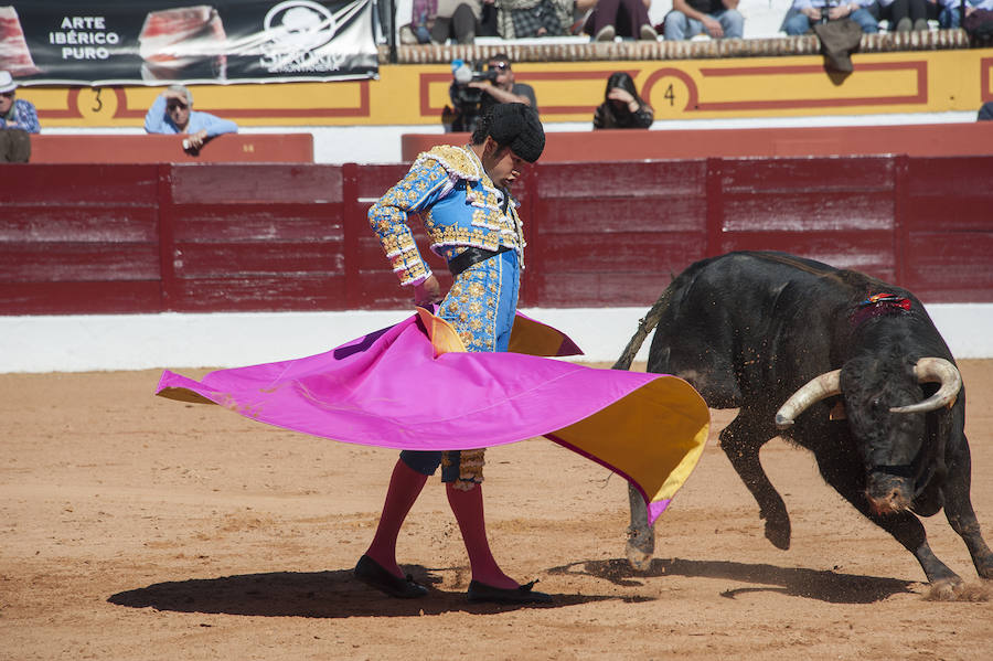 Novillada matinal este sábado en la Feria del Toro de Olivenza 