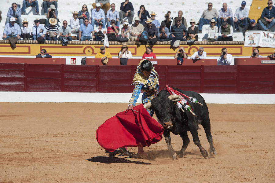 Novillada matinal este sábado en la Feria del Toro de Olivenza 
