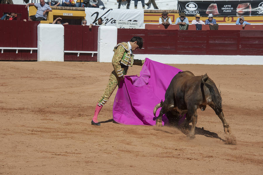 Novillada matinal este sábado en la Feria del Toro de Olivenza 