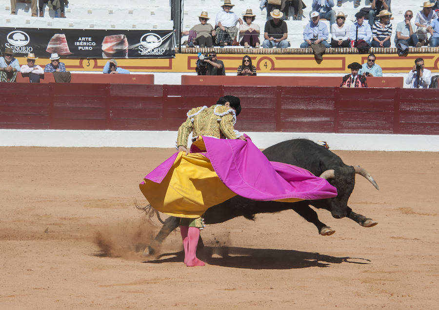 Novillada matinal este sábado en la Feria del Toro de Olivenza 