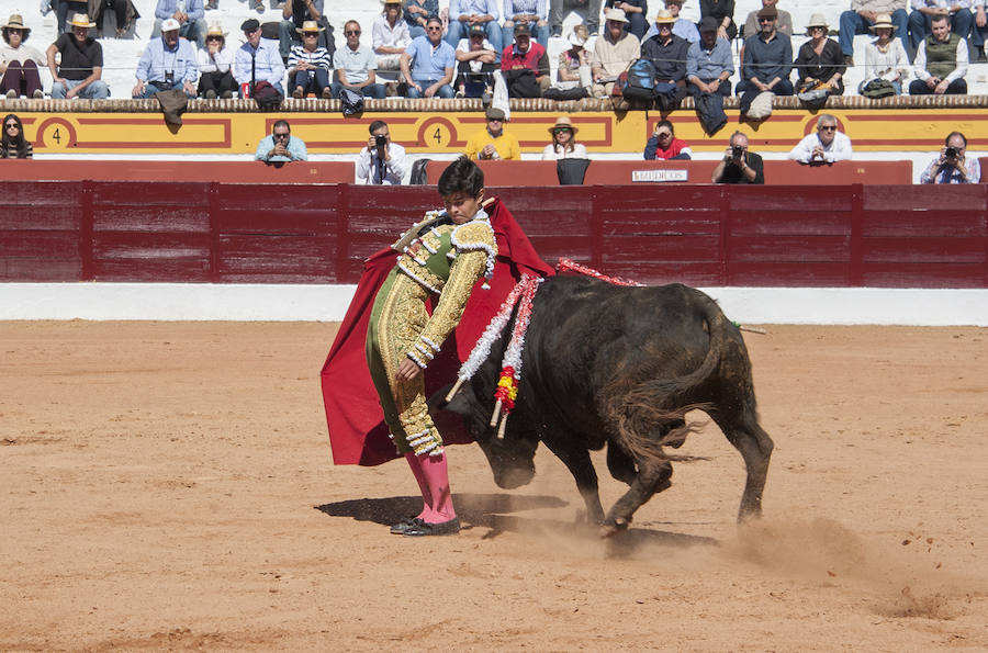 Novillada matinal este sábado en la Feria del Toro de Olivenza 