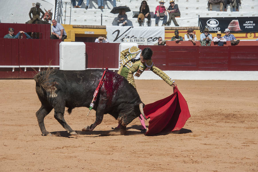 Novillada matinal este sábado en la Feria del Toro de Olivenza 