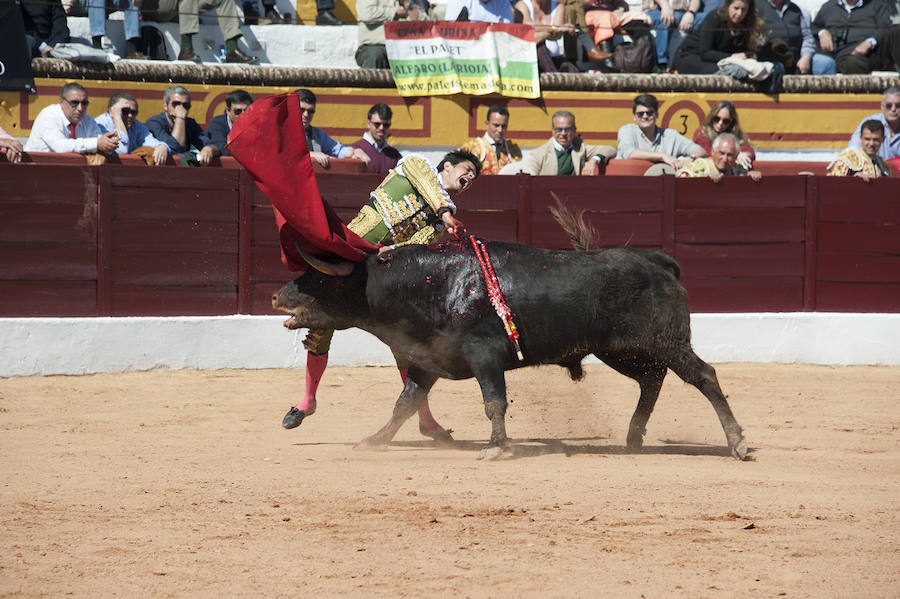 Novillada matinal este sábado en la Feria del Toro de Olivenza 