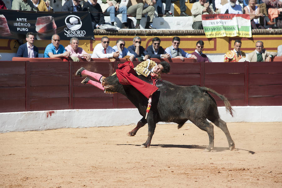 Novillada matinal este sábado en la Feria del Toro de Olivenza 
