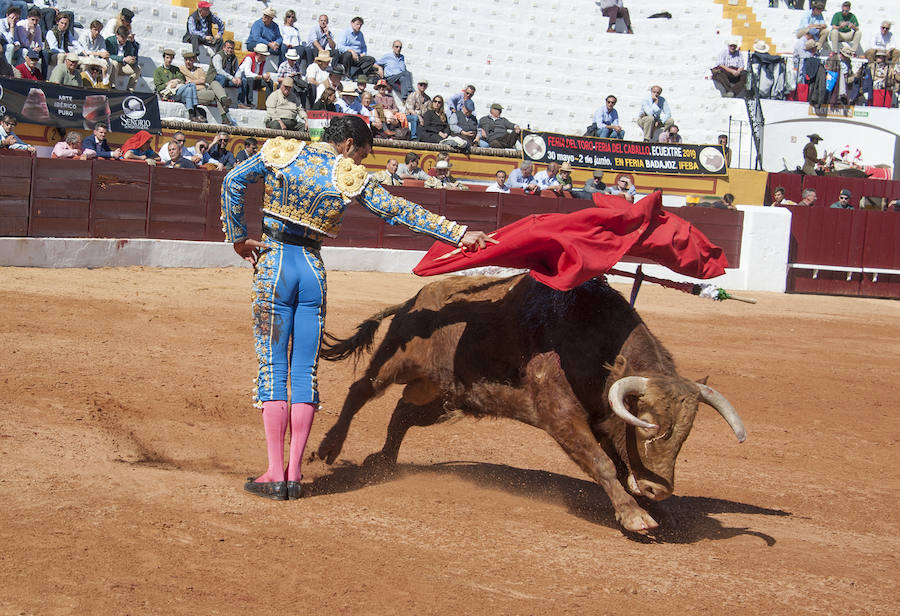 Novillada matinal este sábado en la Feria del Toro de Olivenza 