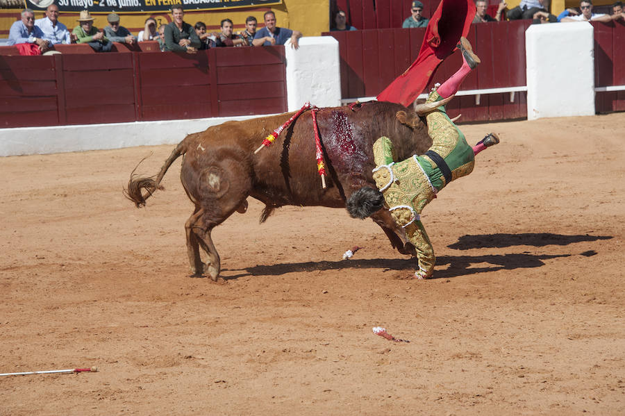 Novillada matinal este sábado en la Feria del Toro de Olivenza 