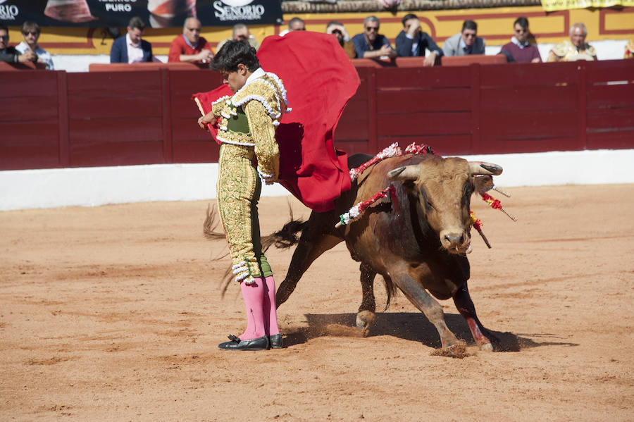 Novillada matinal este sábado en la Feria del Toro de Olivenza 