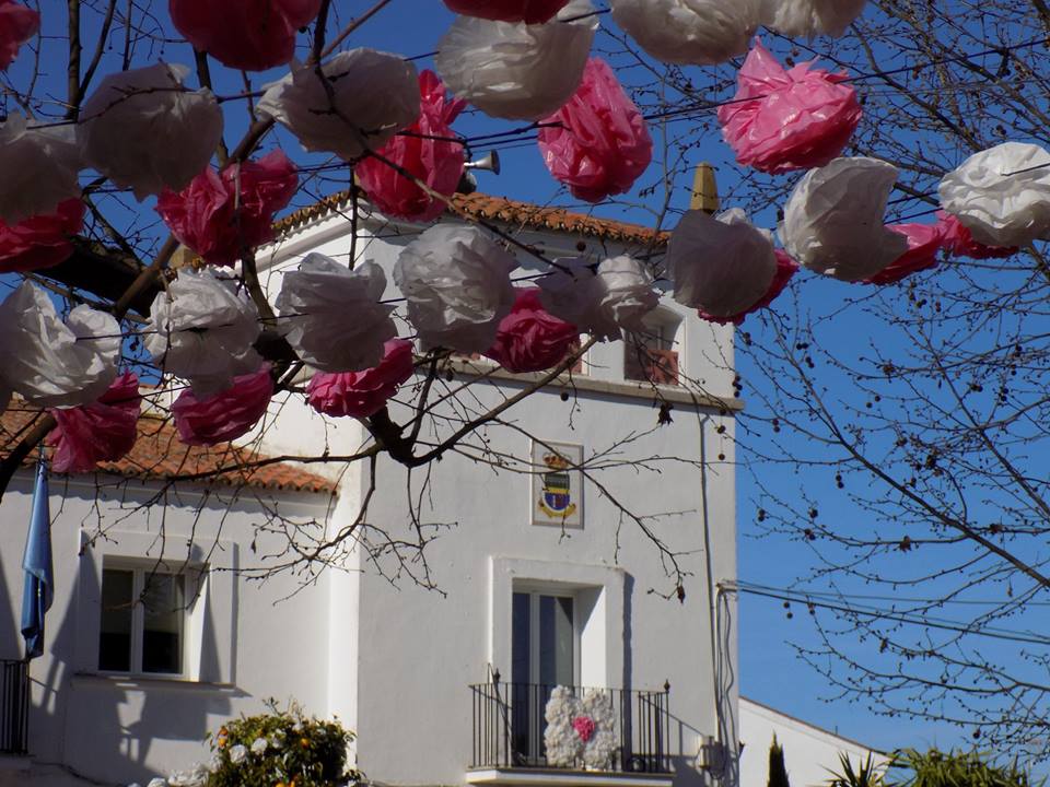 Más de 300 personas han participado este domingo 10 de marzo en una ruta senderista entre los frutales florecidos de las Vegas del Guadiana, que en estas fechas muestran su máximo esplendor