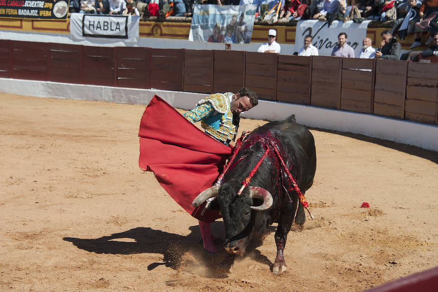 Abrió plaza Antonio Ferrera con 'Zambullido' un Zalduendo de 545, muy bien presentado 