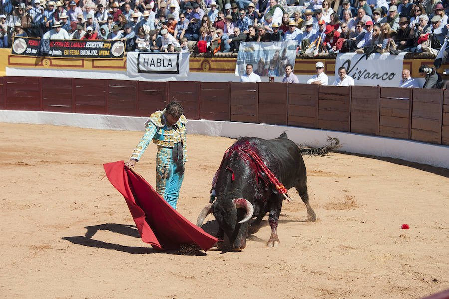 Abrió plaza Antonio Ferrera con 'Zambullido' un Zalduendo de 545, muy bien presentado 