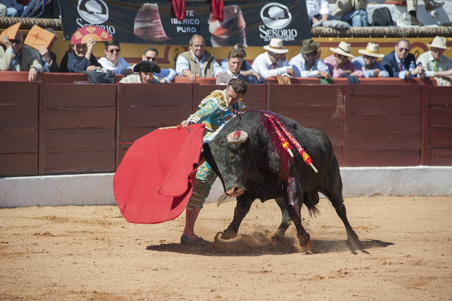 Abrió plaza Antonio Ferrera con 'Zambullido' un Zalduendo de 545, muy bien presentado 