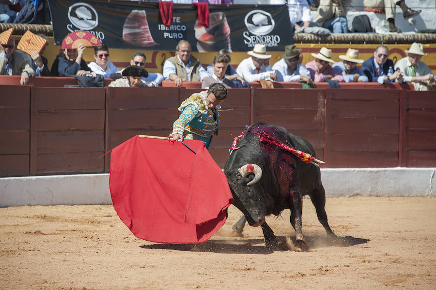 Abrió plaza Antonio Ferrera con 'Zambullido' un Zalduendo de 545, muy bien presentado 