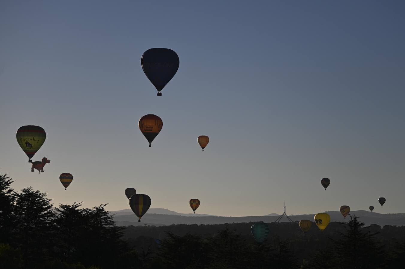 Observan cómo los globos aerostáticos se elevan sobre el lago Burley-Griffin durante el festival internacional de globos de Camberra, Australia. El festival es considerado como uno de los más grandes del mundo.