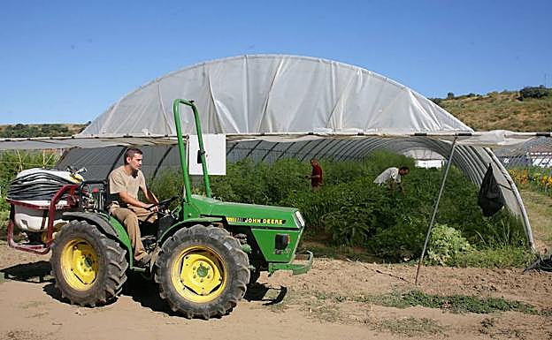 Sostenibilidad por kilo de alimento