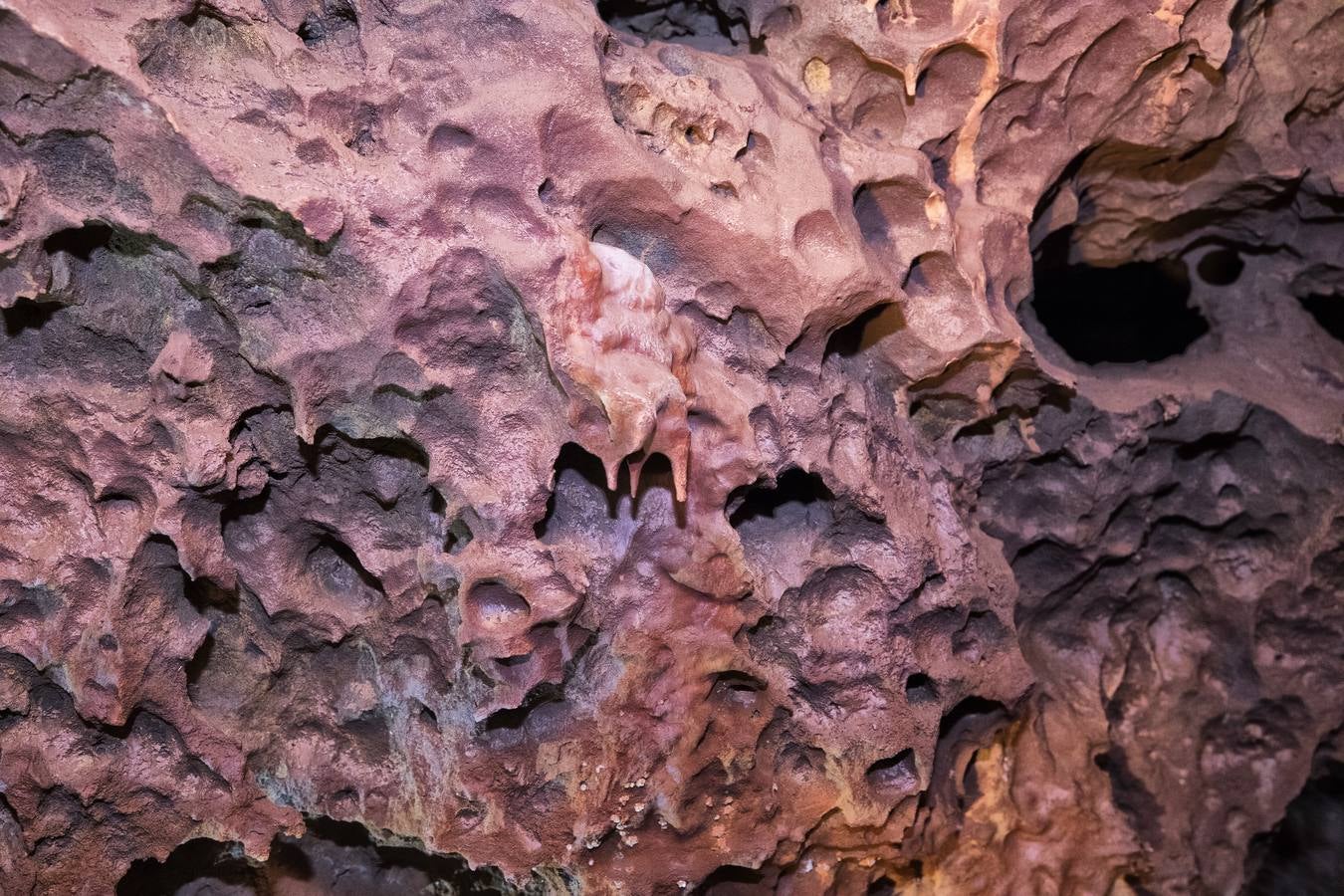 Actualmente están paradas las obras en el tramo comprendido entre la Ex-206 y la primera rotonda de acceso al residencial Vistahermosa 