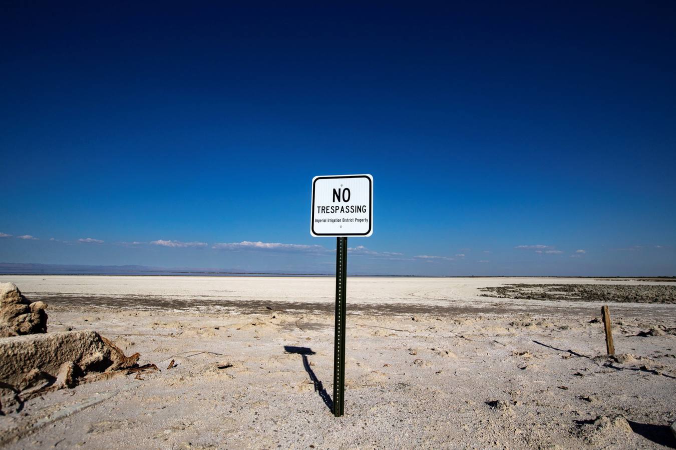 El Lago Salton, poco profundo y salino, es el lago más grande de California, donde miles de aves migratorias utilizan sus orillas y aguas para reponer fuerzas y descansar. A medida que el lago se contamina más y se reduce por el uso de la agricultura y la sequía en los últimos años, la población de aves migratorias ha experimentado un descenso drástico.