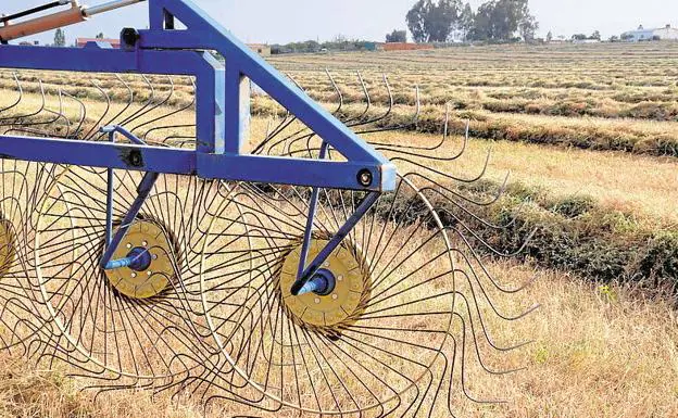 Preocupación en el campo extremeño por la escasez de lluvias en el invierno