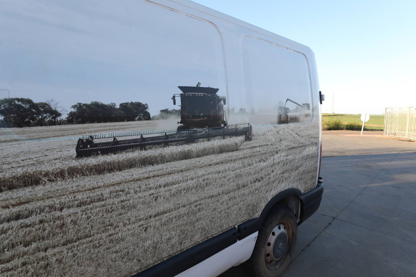 La falta de agua hace peligar el cereal en la región