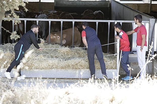 Alumnos de uno de los últimos cursos organizados por la escuela de pastores de Casar de Cáceres. :: hoy