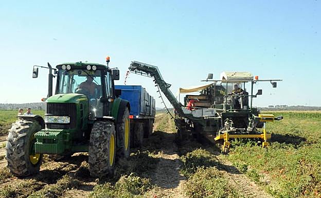 El papel del agro en 2050