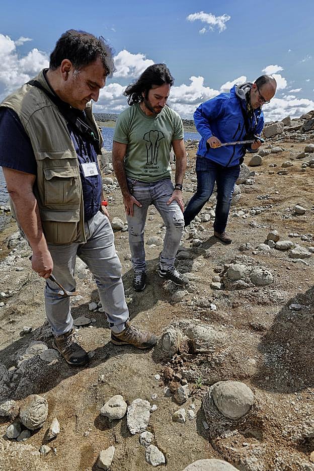 Los dos técnicos de la Junta y Mangas en la zona. ::