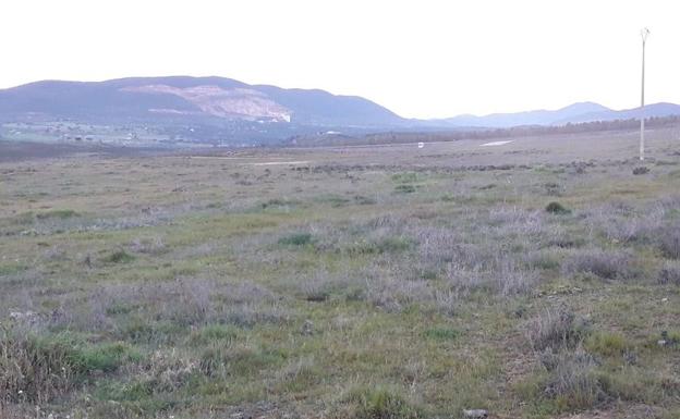 Terreno de la dehesa boyal de Zafra elegido para el gran matadero de ibérico. 