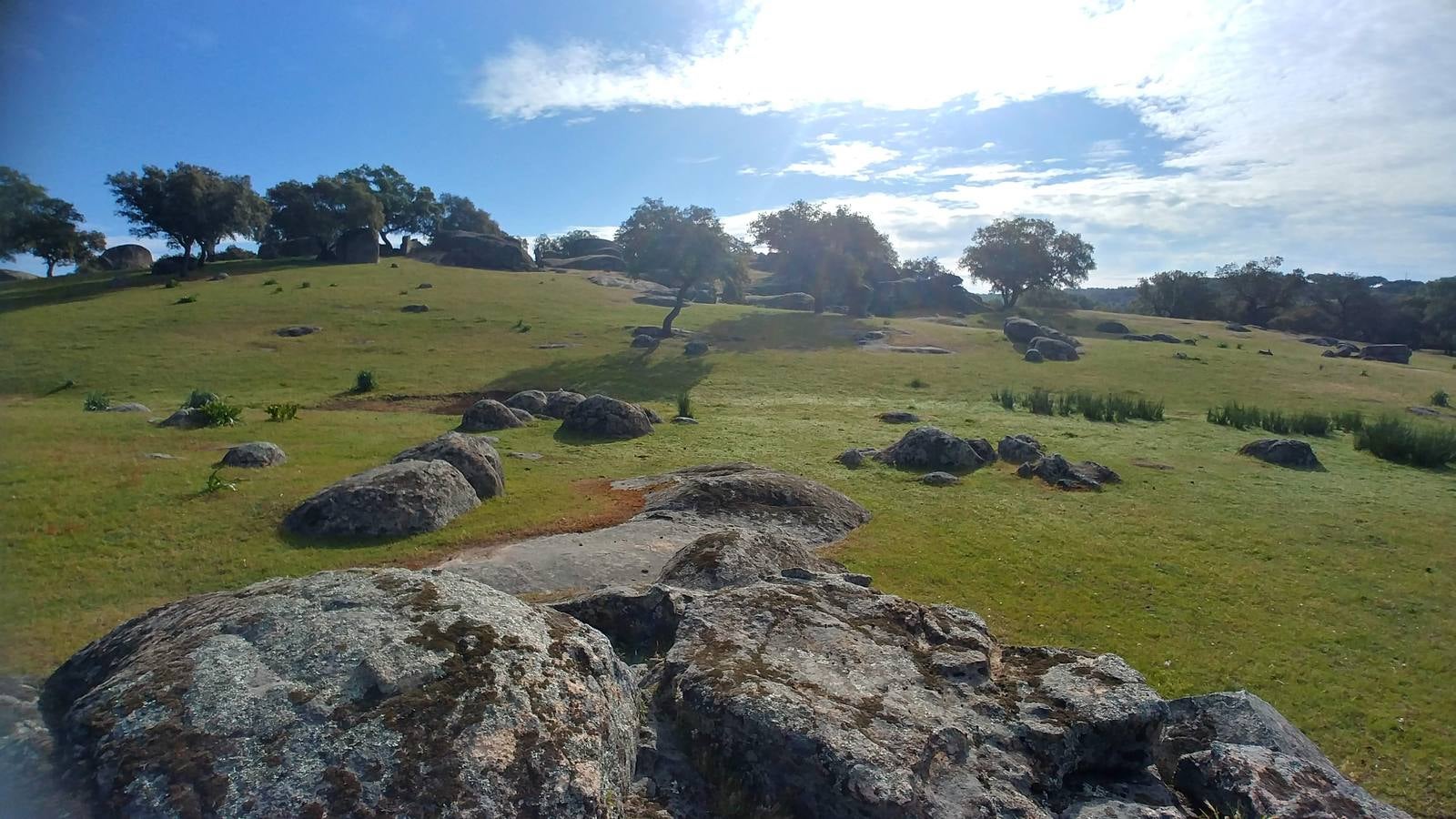 El entorno de la localidad pacenses de La Roca de la Sierra se puede encontrar espectaculares canchales y la Dehesa Boyal, que alberga la Pradera de San Isidro.