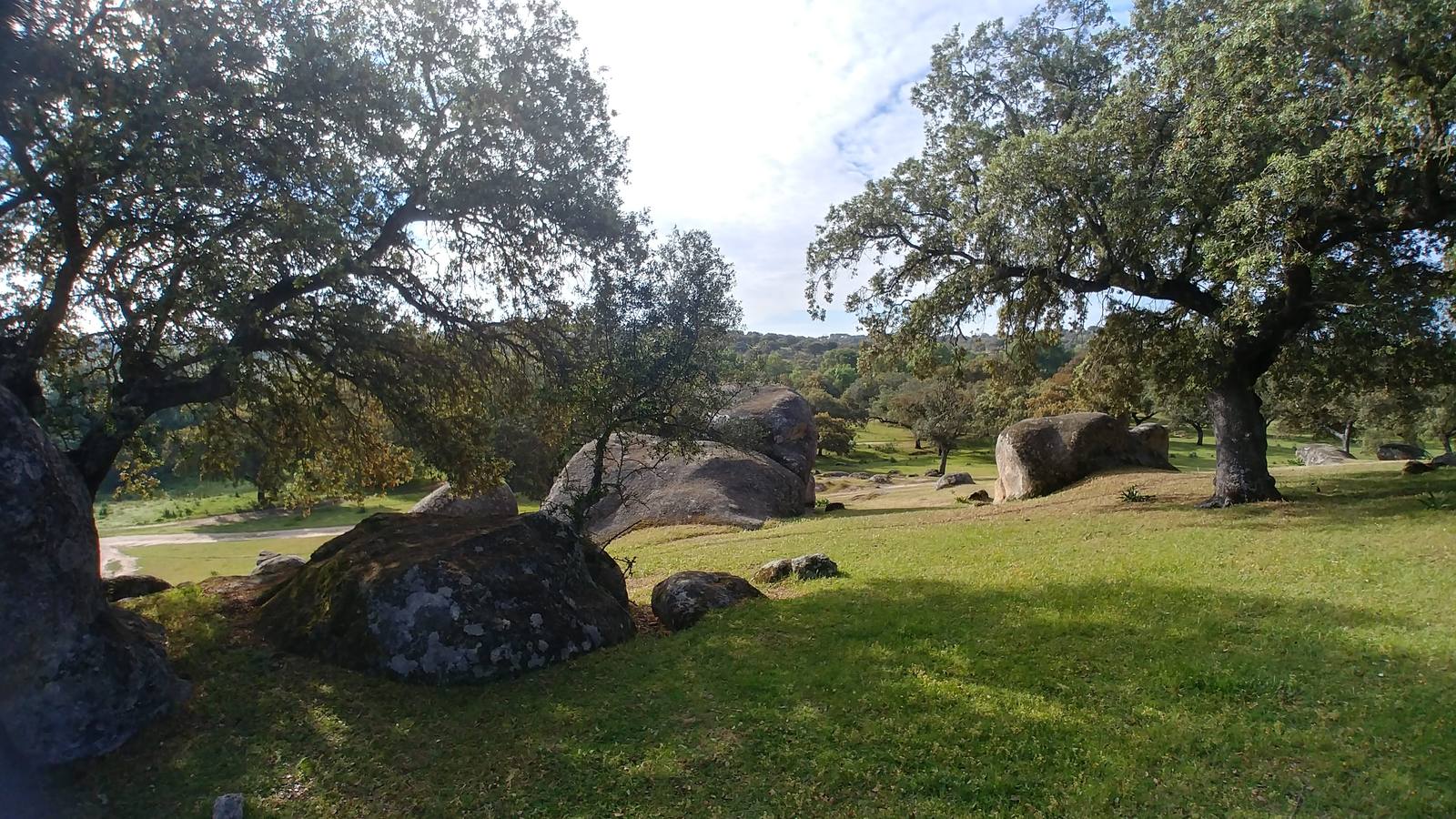 El entorno de la localidad pacenses de La Roca de la Sierra se puede encontrar espectaculares canchales y la Dehesa Boyal, que alberga la Pradera de San Isidro.