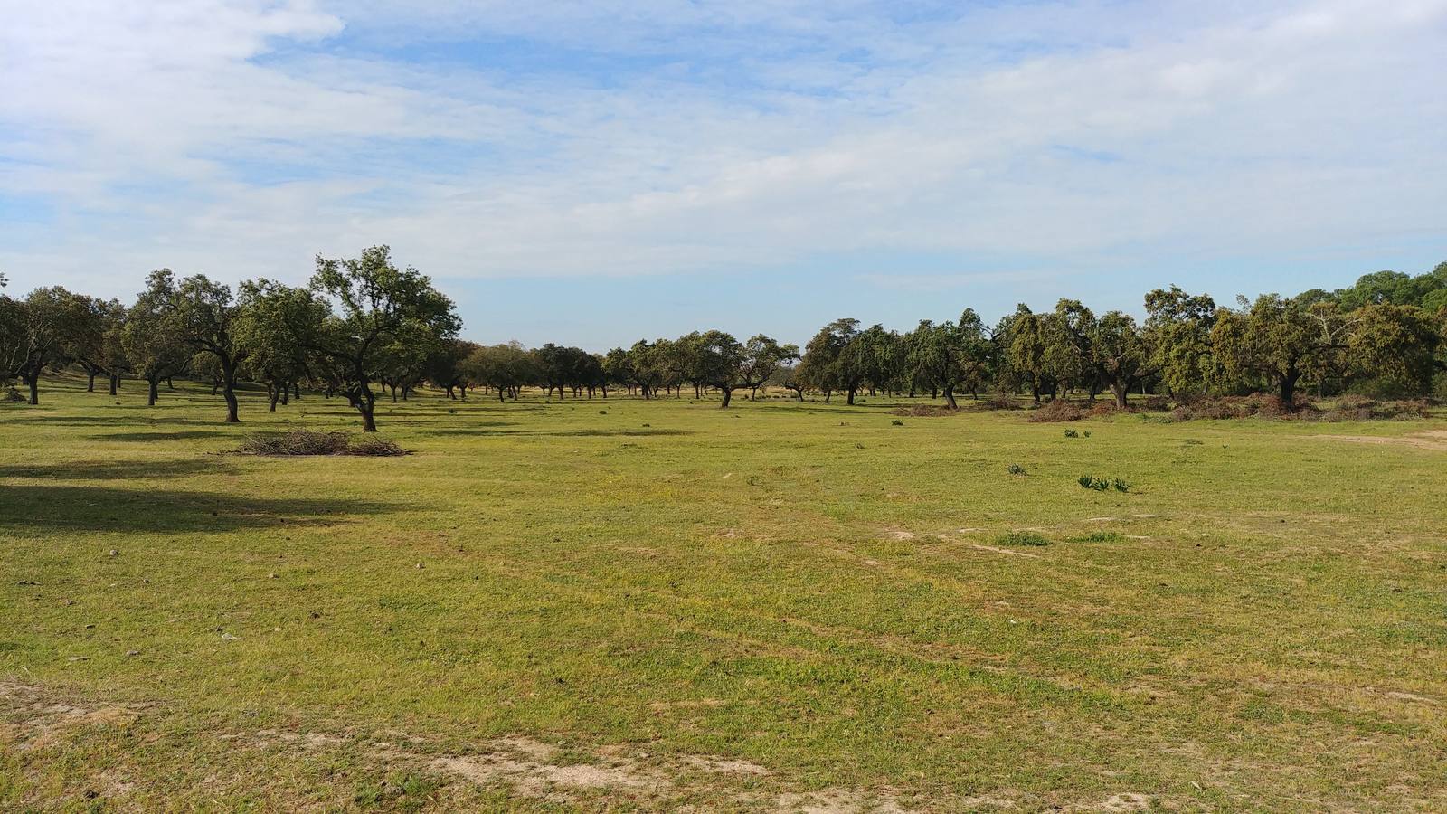 El entorno de la localidad pacenses de La Roca de la Sierra se puede encontrar espectaculares canchales y la Dehesa Boyal, que alberga la Pradera de San Isidro.