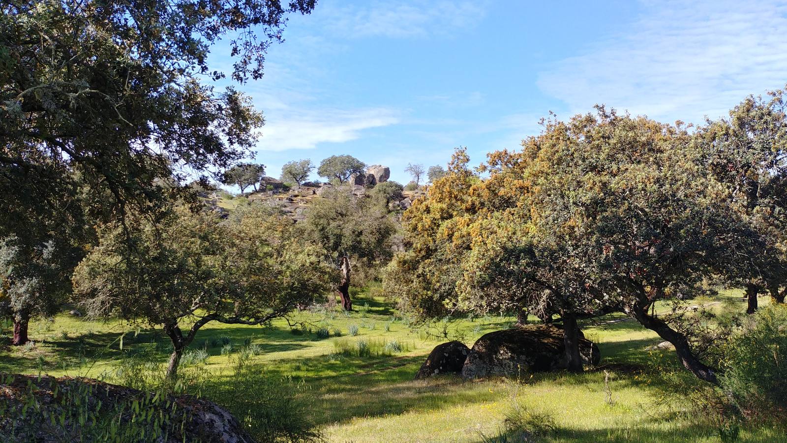 El entorno de la localidad pacenses de La Roca de la Sierra se puede encontrar espectaculares canchales y la Dehesa Boyal, que alberga la Pradera de San Isidro.