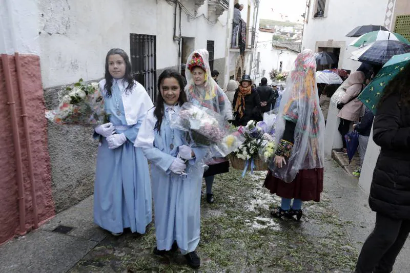 La bajada de la patrona de Cáceres se sobrepone al mal tiempo en su primer año de interés regional