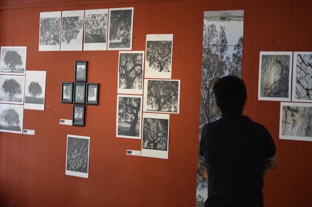 Un visitante admira las fotografías de la exposición. :: fran h.